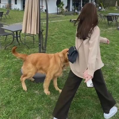 诡秘之主