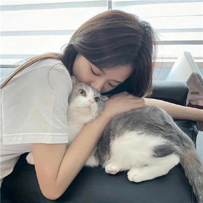 圆梦